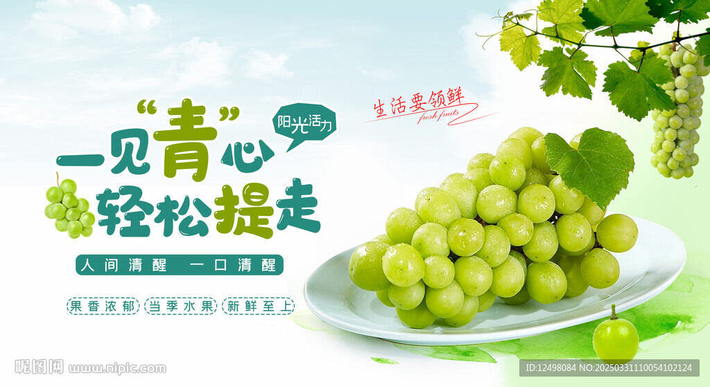 青提采摘