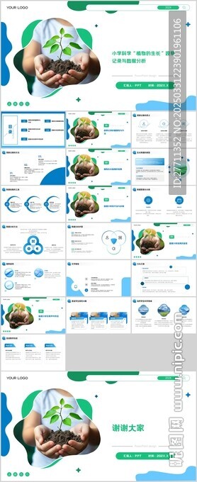 小學科學 植物的生長 觀察記