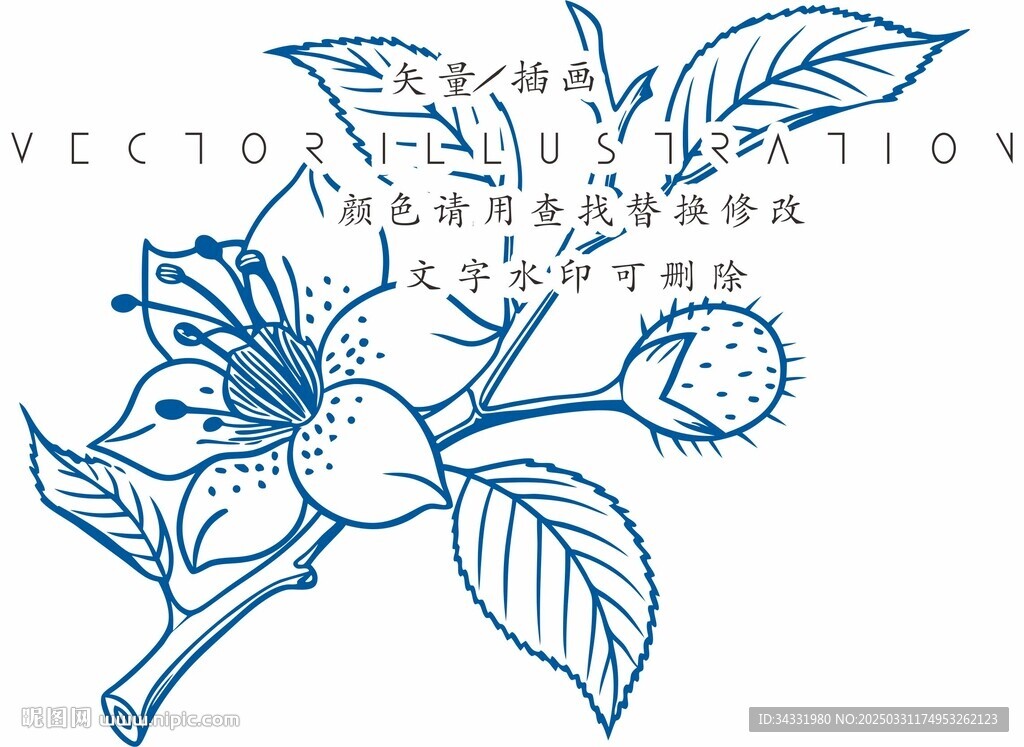 山茶花