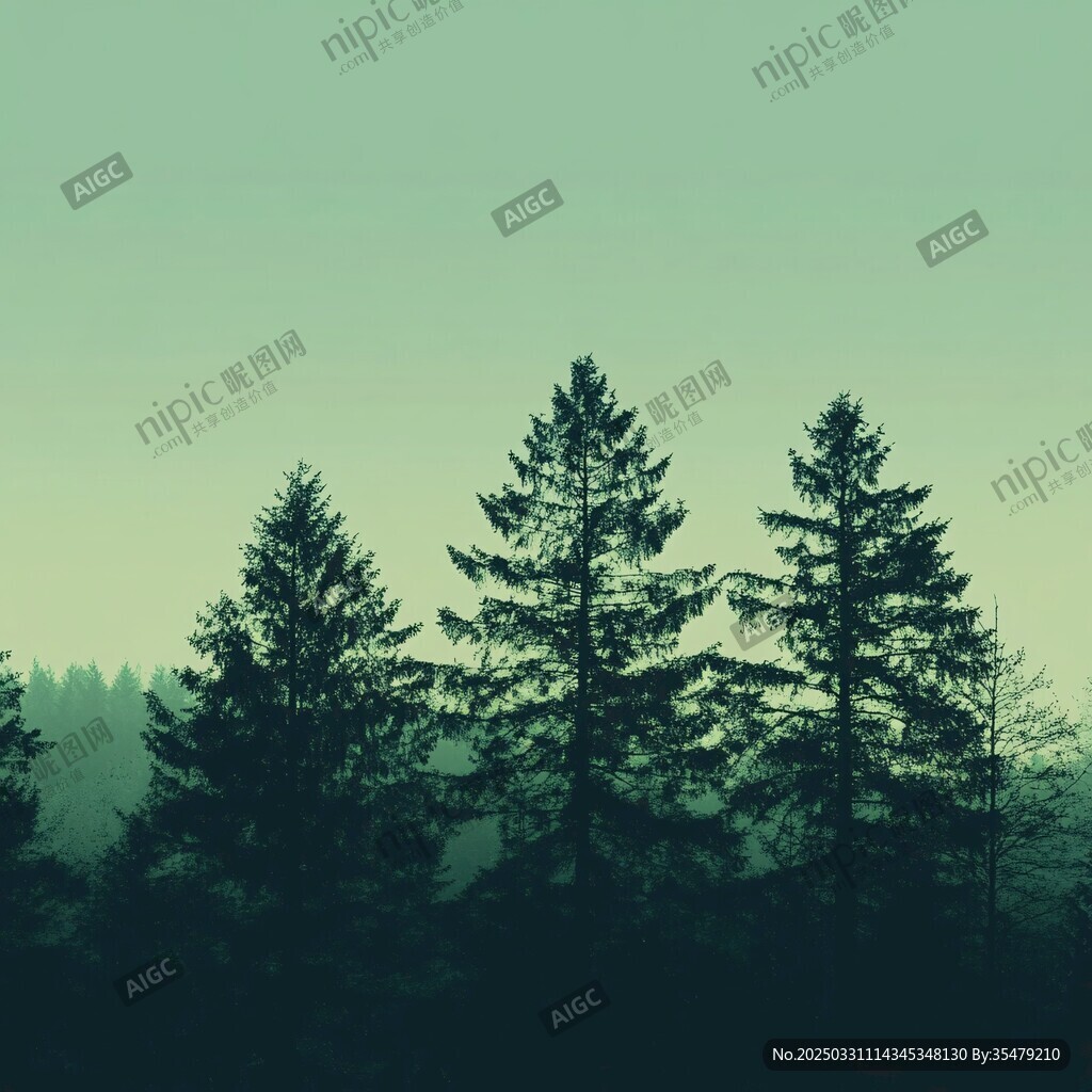 霧中松影 靜謐森林景致
