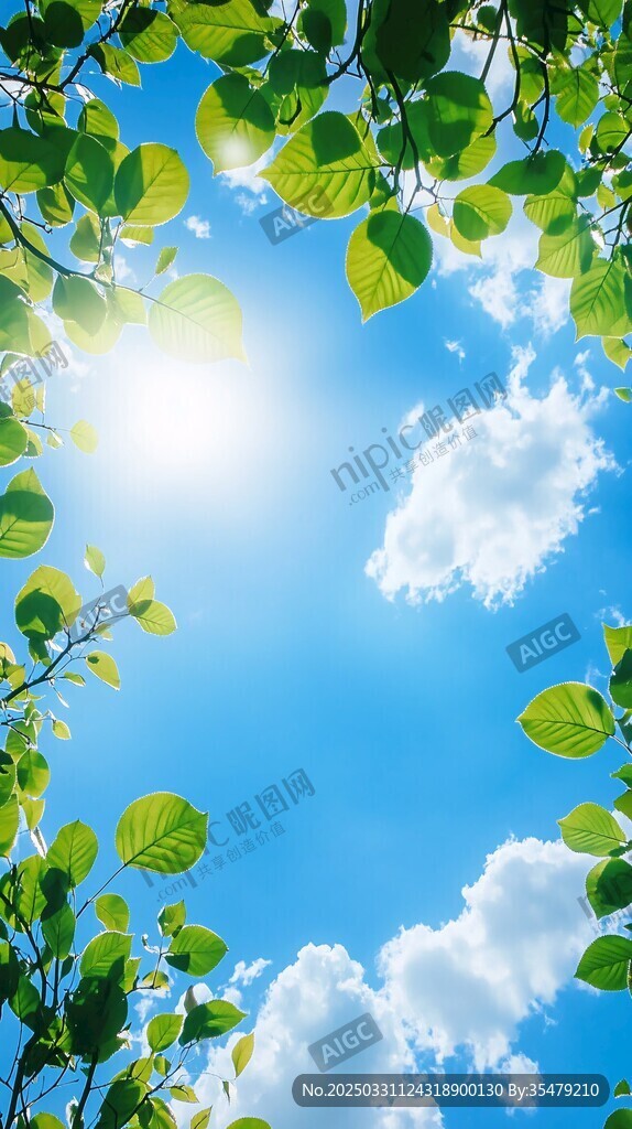 綠葉間的明媚藍天與陽光