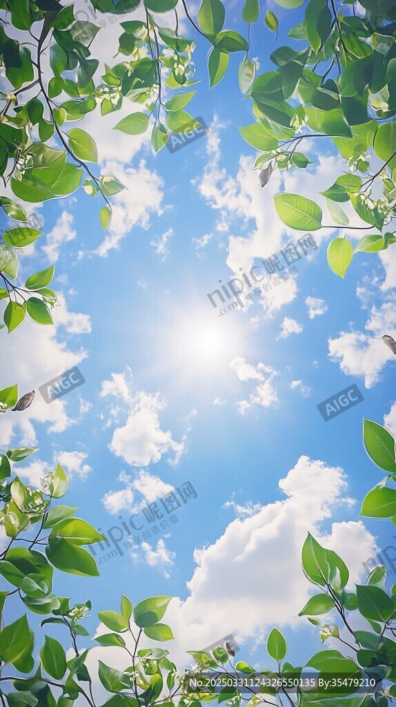 綠葉間的明媚藍(lán)天陽光