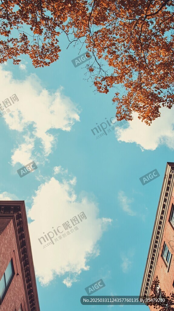 秋日樓宇間的藍(lán)天白云