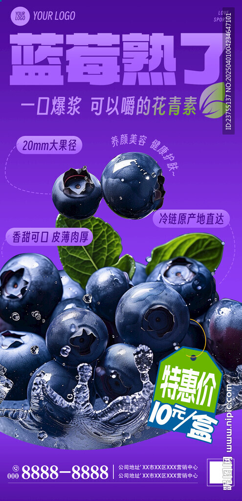 藍(lán)莓促銷海報(bào)