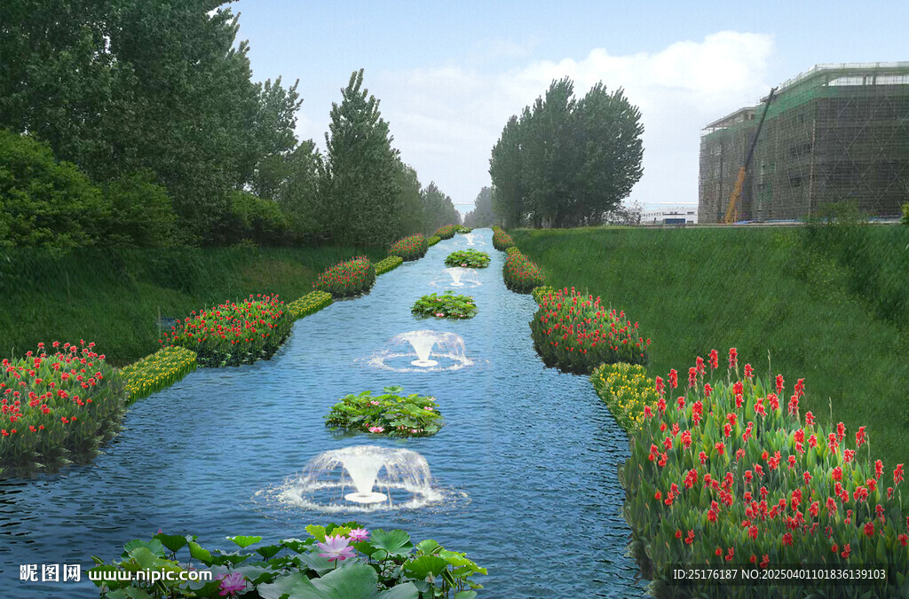 河道水生植物效果圖1
