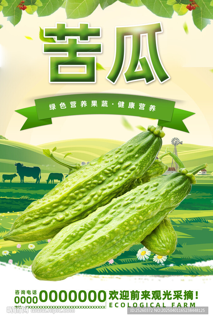 苦瓜