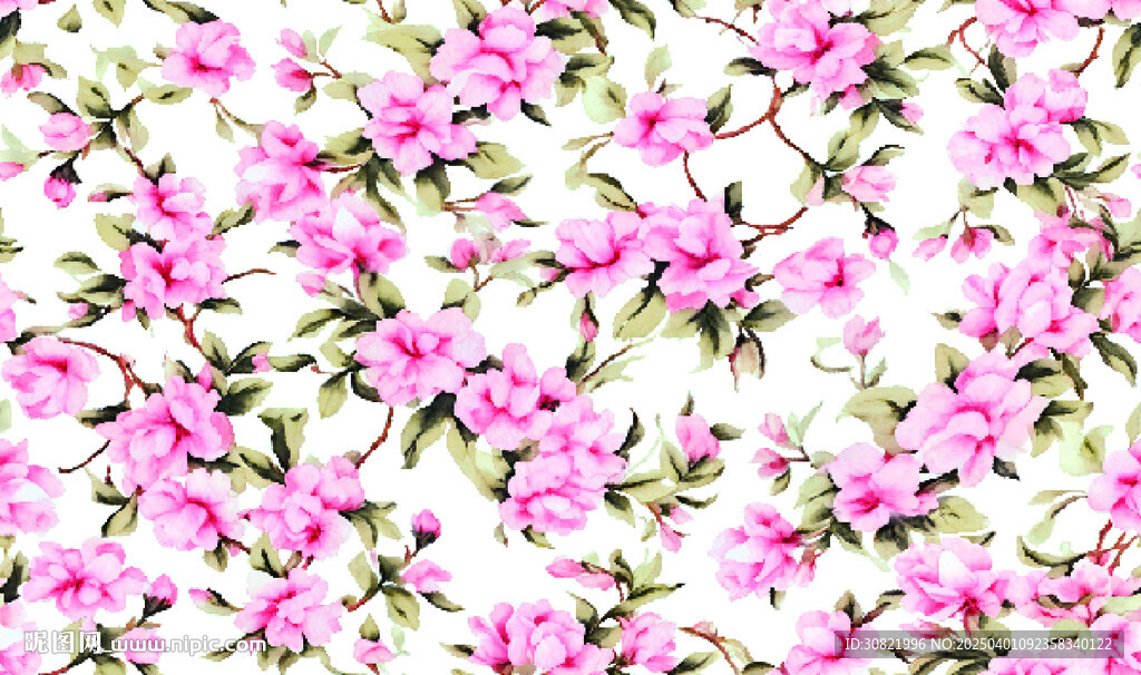 茶花 