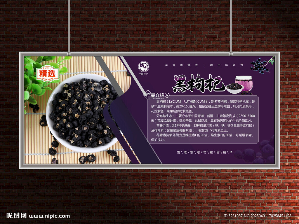 黑枸杞