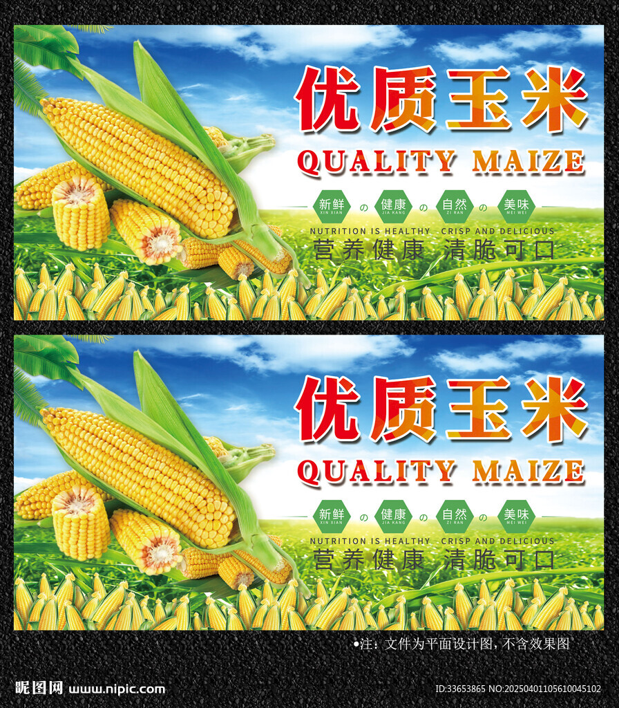 玉米展板
