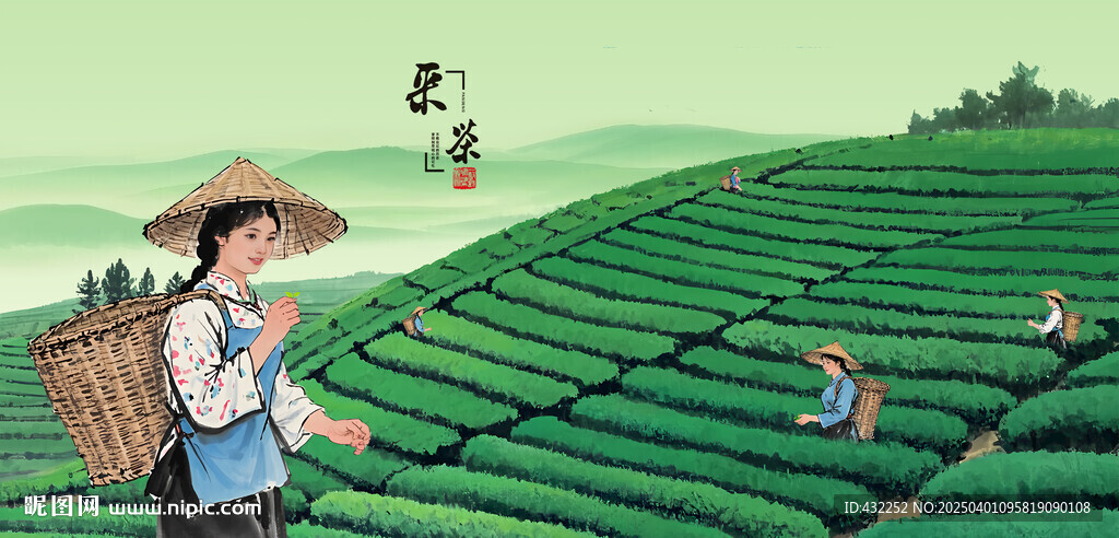 采茶姑娘