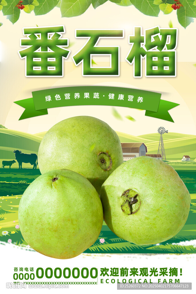 番石榴