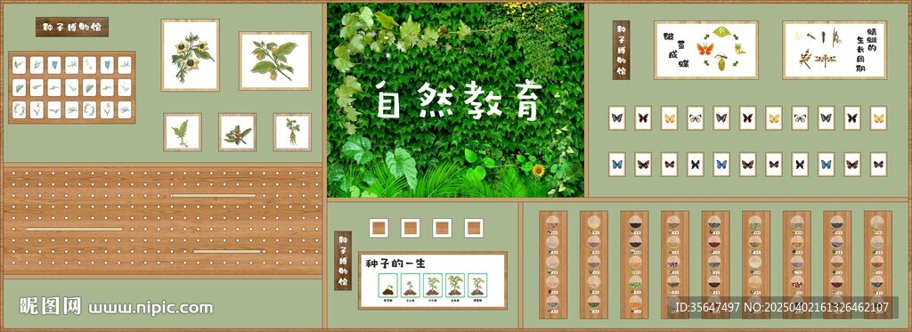 自然教育 植物