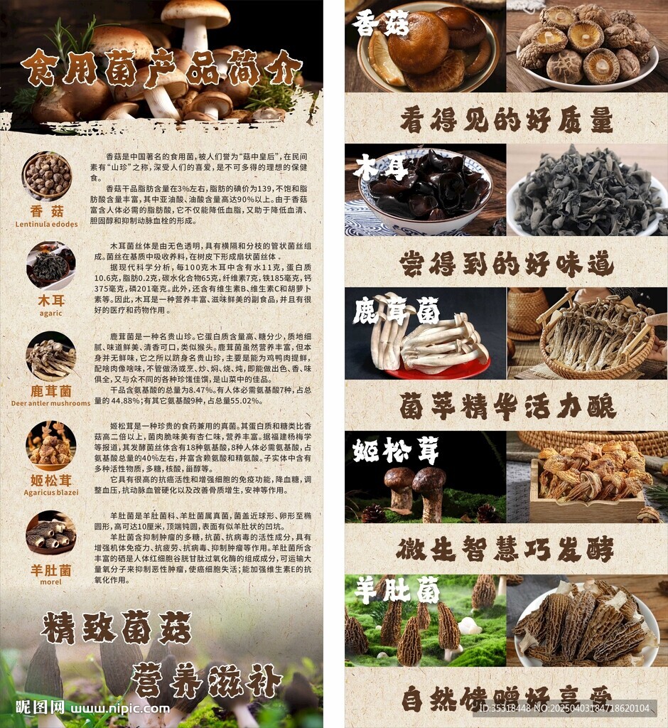 食用菌展架