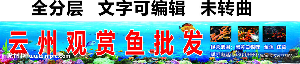 觀賞魚批發門頭