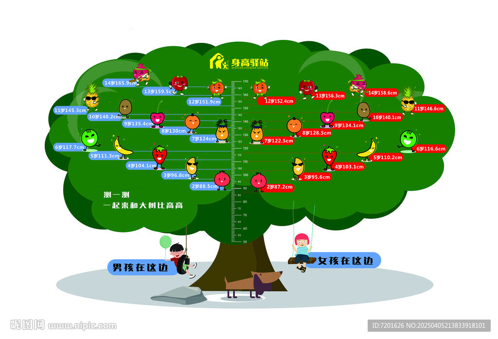 醫院身高測量樹
