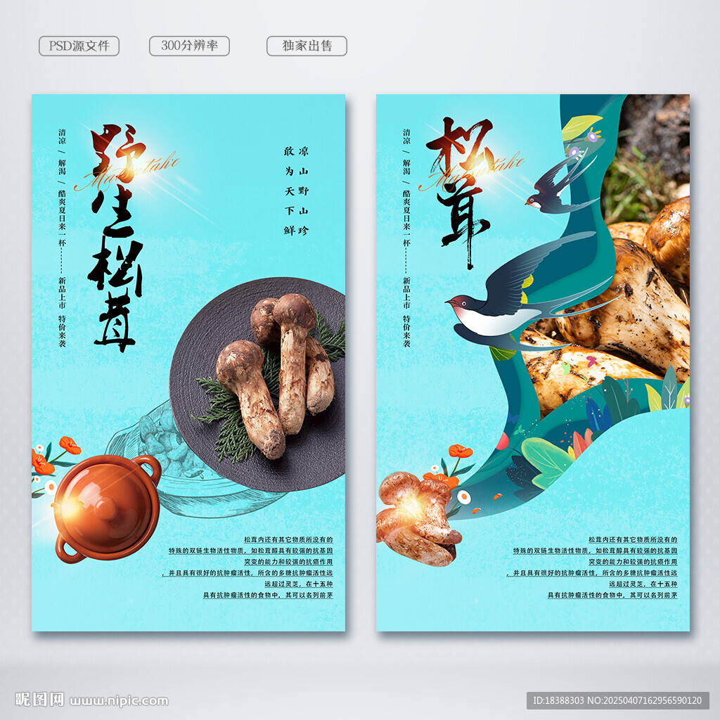 松茸
