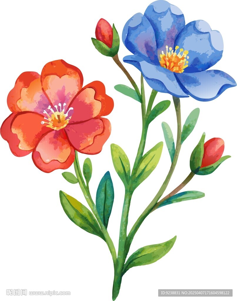 花卉插畫(huà)