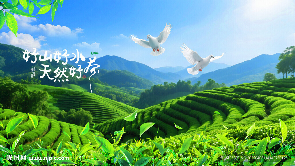 茶山
