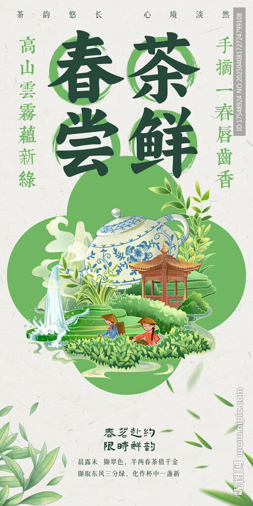 早春新茶