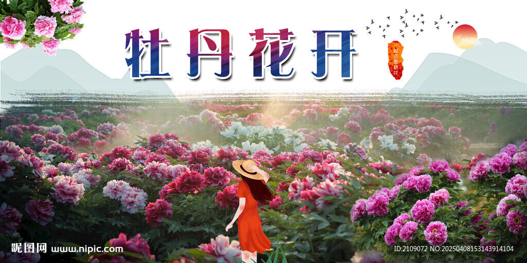 牡丹  