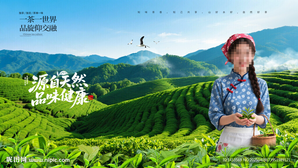 采茶