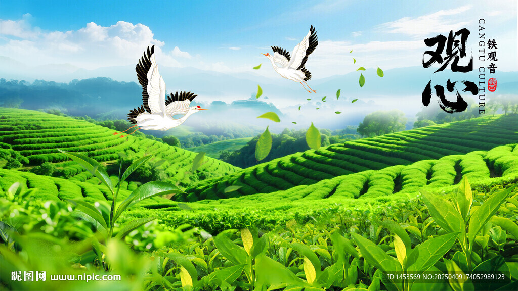 茶