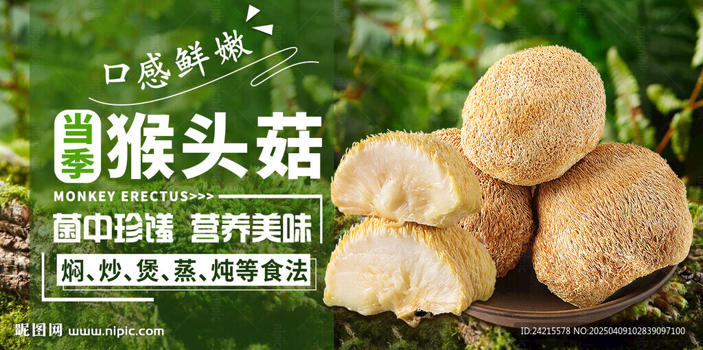 猴頭菇