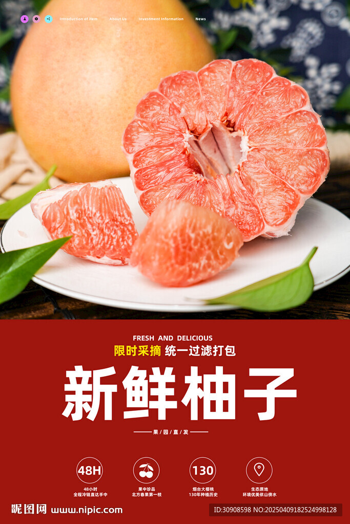 柚子