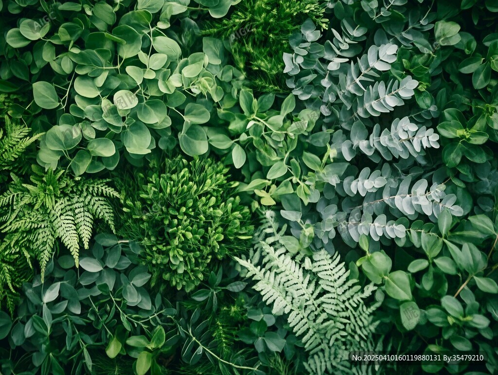 翠綠植物墻 清新自然景致