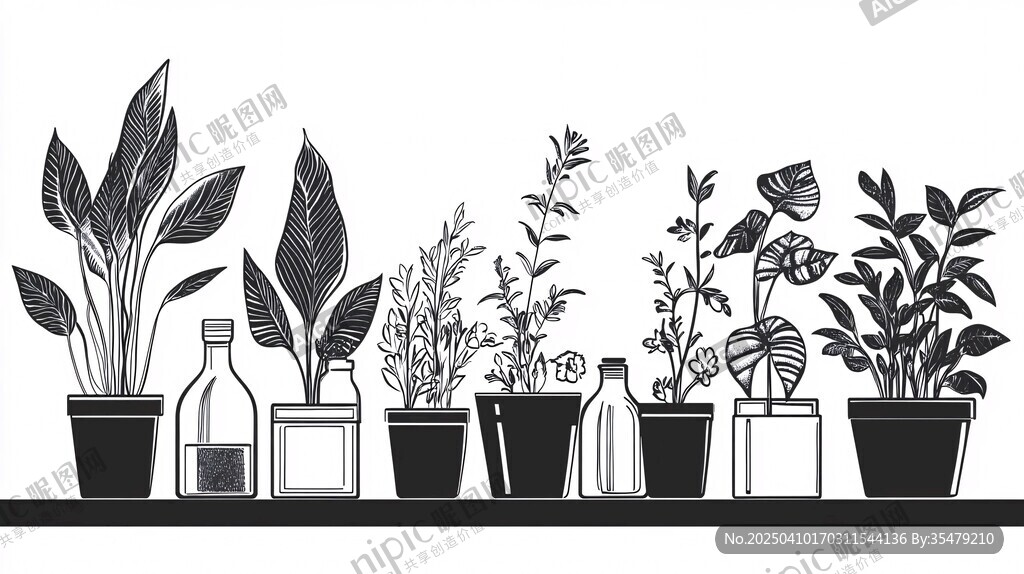 瓶盆綠植陳列圖