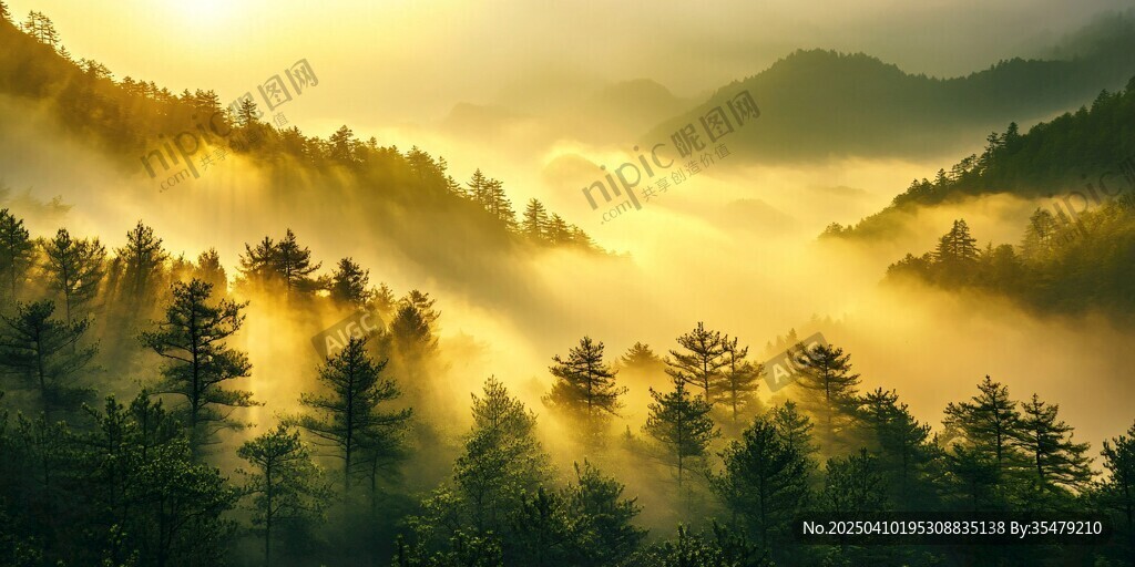 晨霧山林間的金色晨光