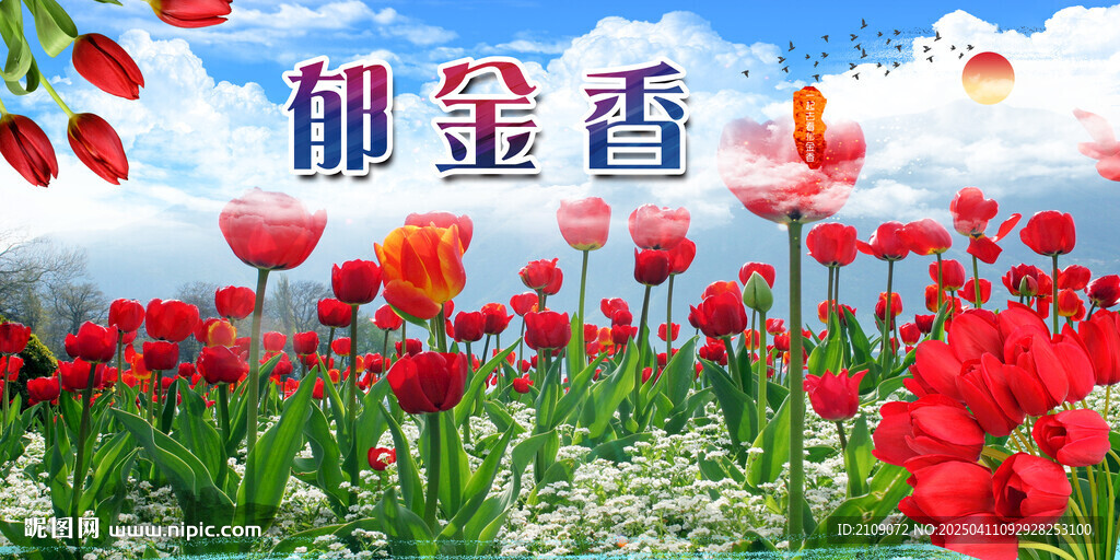 郁金香  