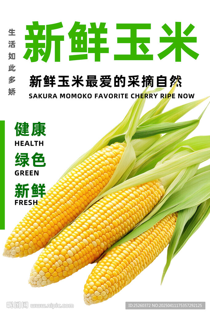 玉米