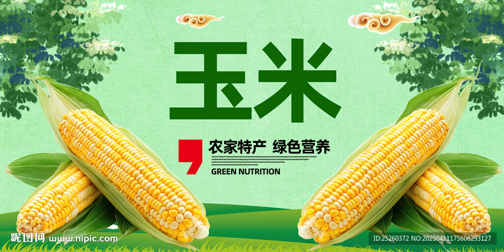 玉米
