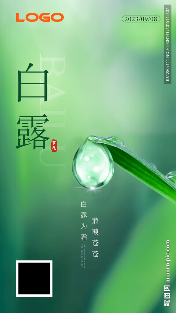 白露