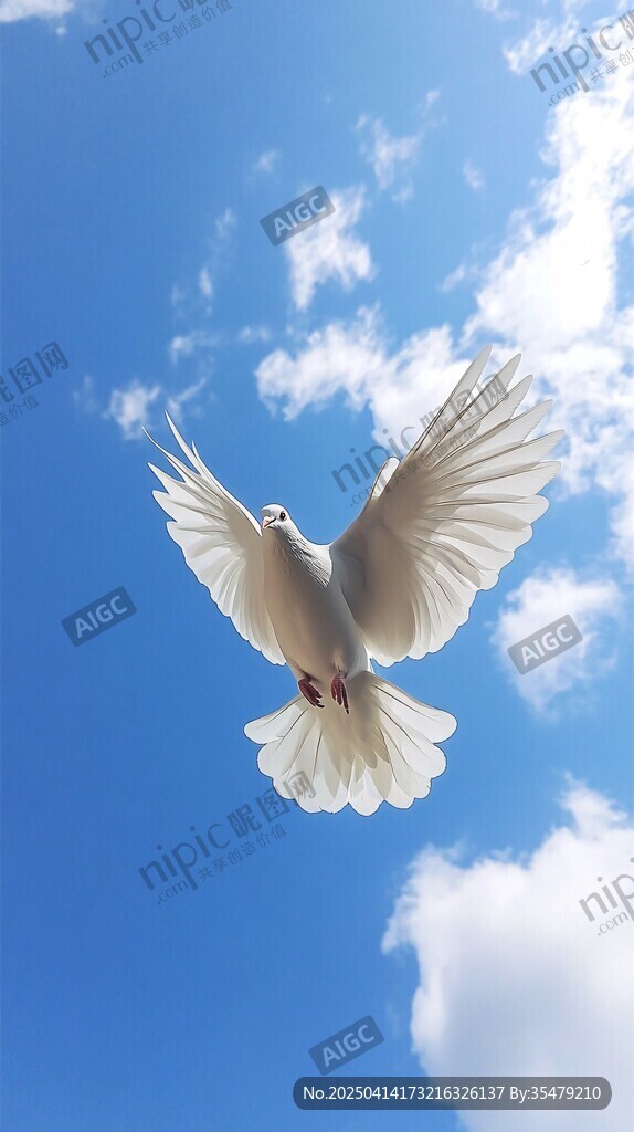 白鴿翱翔藍(lán)天
