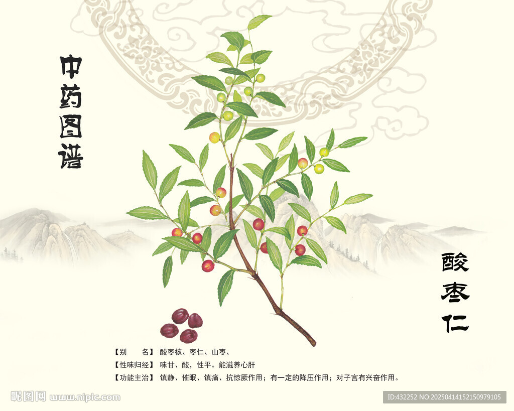 酸棗仁