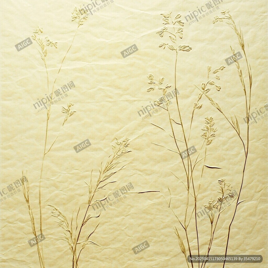 干花標(biāo)本裝飾圖