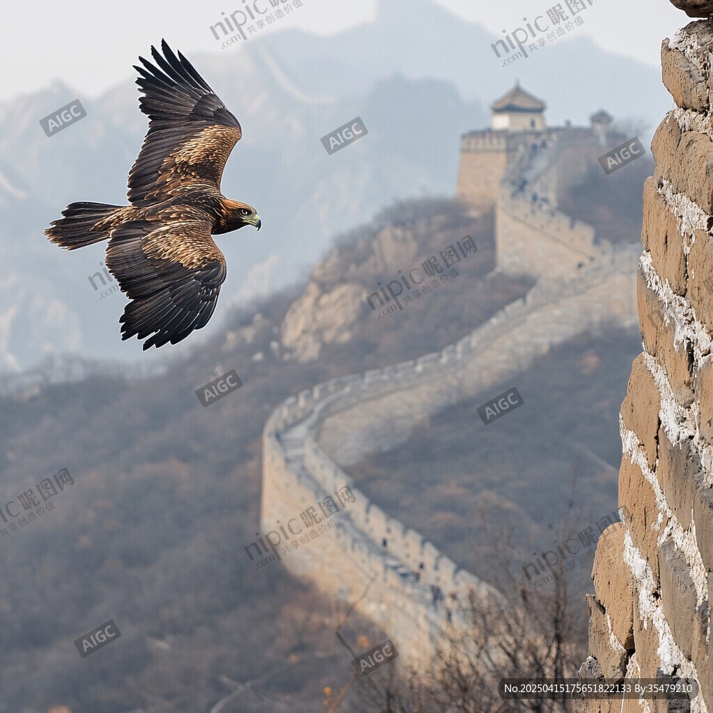 長城上空翱翔的雄鷹