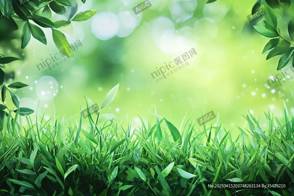 清新綠意草地與枝葉背景