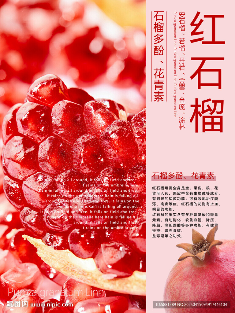 石榴海報廣告