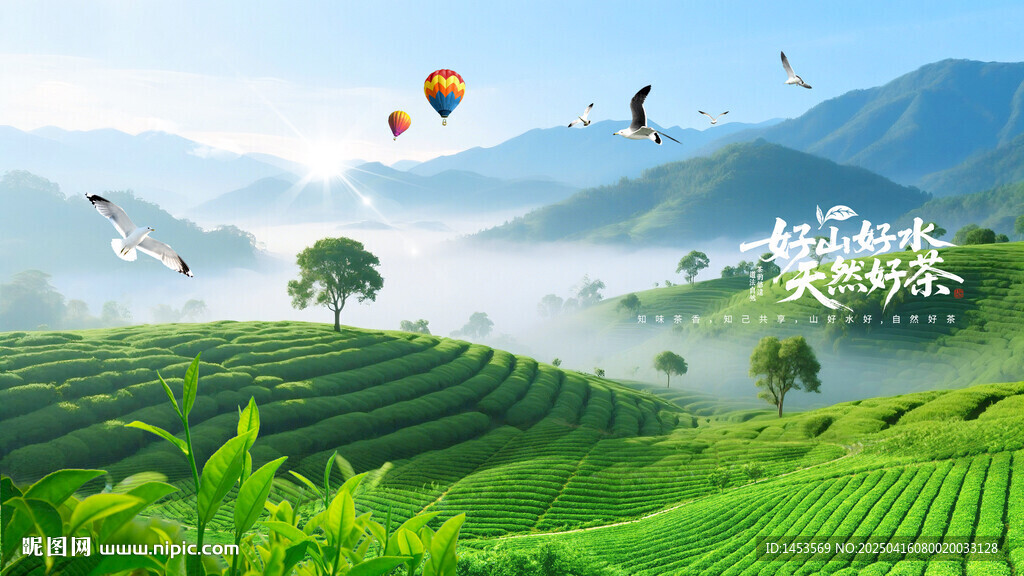 春茶