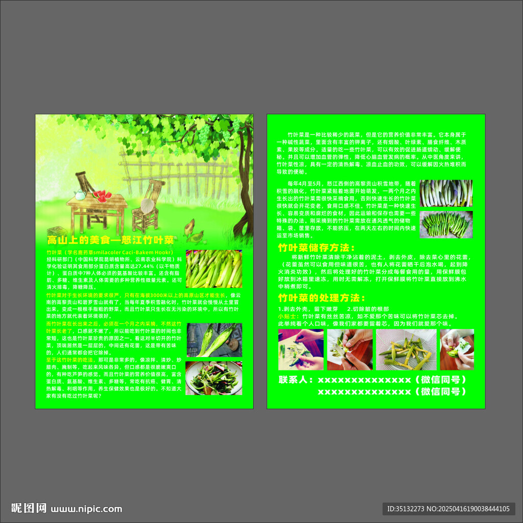 竹葉菜宣傳單