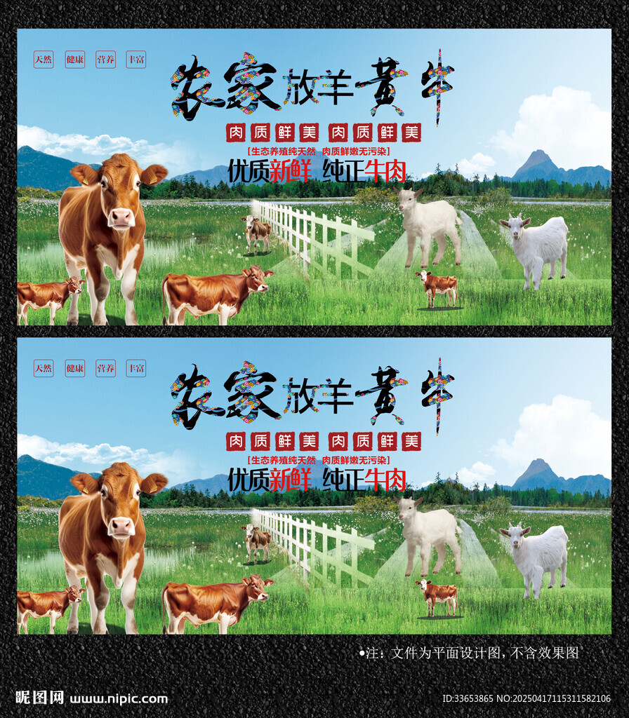 草原散養(yǎng)黃牛