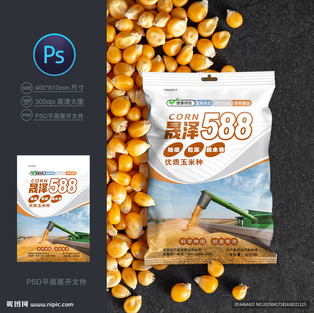 玉米種子