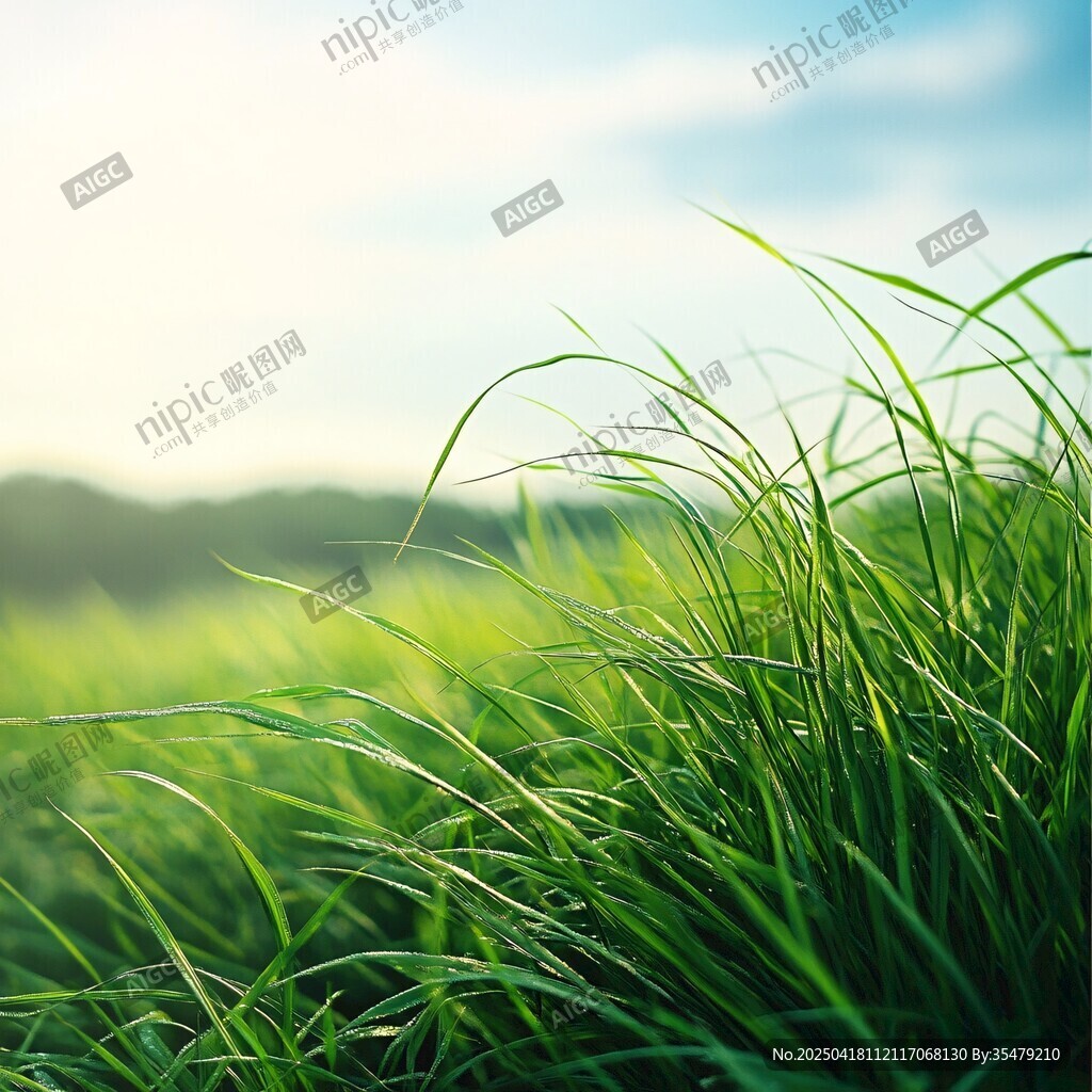陽光下的嫩綠青草