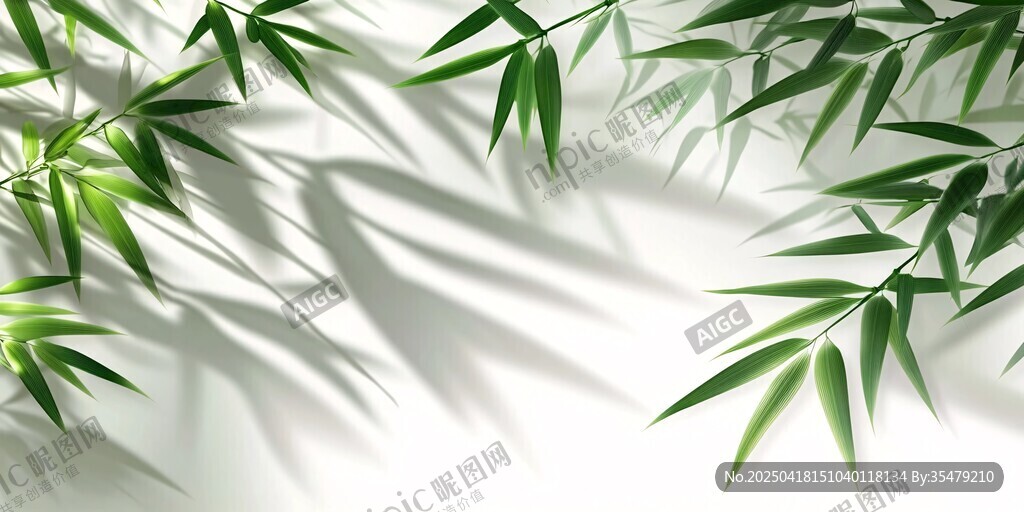 竹葉光影 清新自然景致
