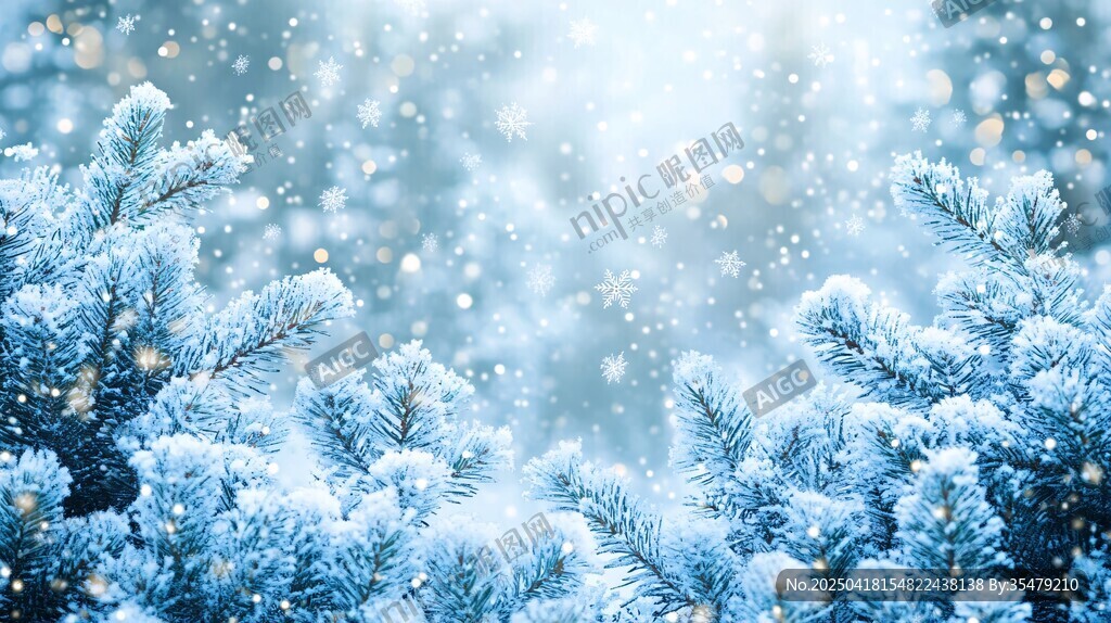 冬日雪景中的松枝