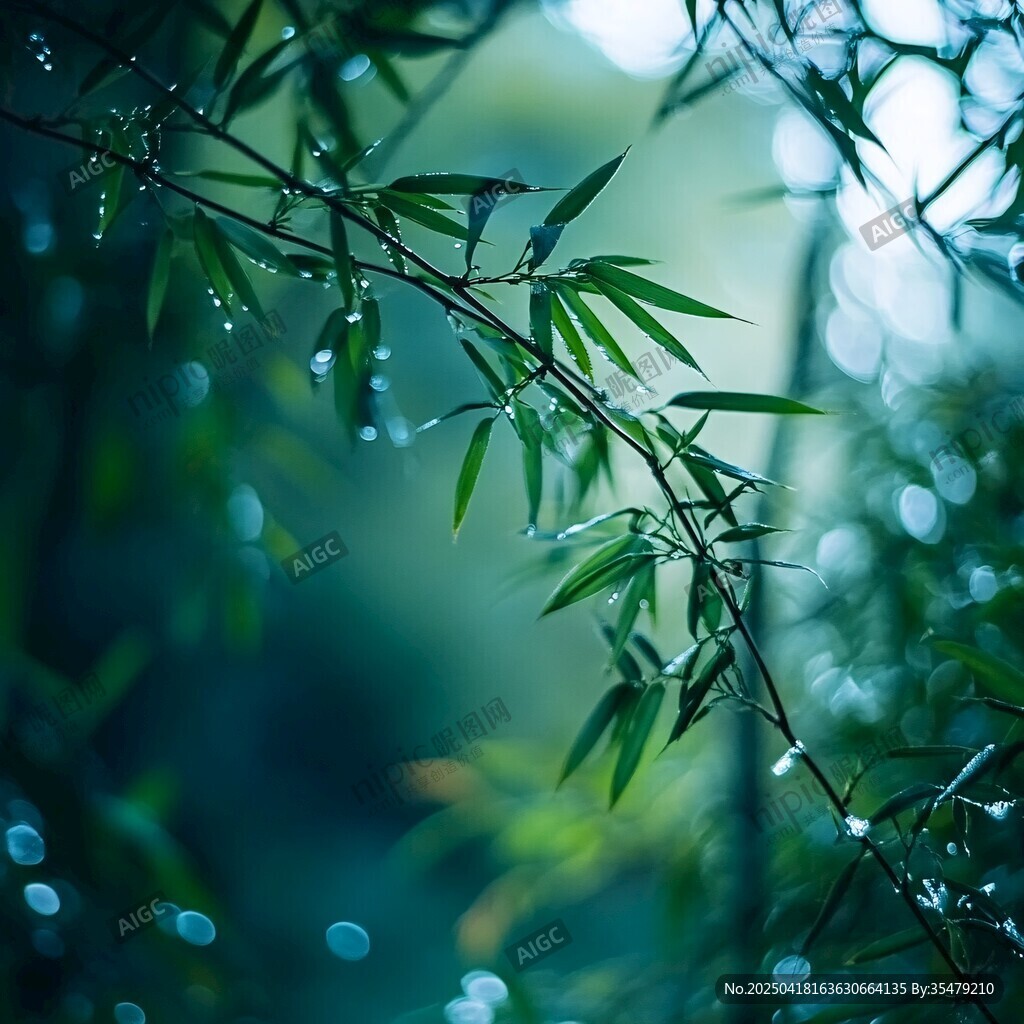 帶露翠竹 清新自然之景