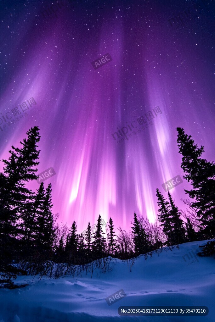 夢幻極光下的雪林夜景